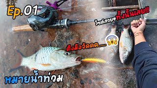 EP.01 ตกปลากระสูบ หมายน้ำท่วม มีแต่ไซต์ตึงๆทั้งนั้น!!! [ Fishing On-Tour EP.01]