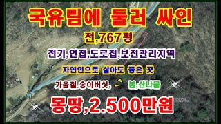 물건번호,85)자연인이다,전768평.몽땅,2.500만원) 지적도상에 도로접하고 국유림약30만평에 둘러 싸인 전,보전관리지역,전기인접,농막설치하여 세컨하우스로 이용도 가능,컨테이너