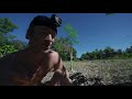 my first filipino sundang machete harvesting coconuts w local farmers