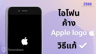 วิธีแก้ไอโฟนเปิดไม่ติด ขึ้นรูปแอปเปิ้ลติดๆดับๆ🤷‍♂️โดยไม่มีข้อมูลสูญหาย!