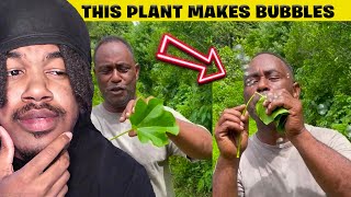Strange Videos on the Internet That Will Make You Question Everything