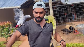 എന്നെ കൊത്തി ഒരു പരുവമാക്കി 😥PETSTATION KANNUR |  PETS | CATS,DOGS,FISH,BEACH,BIRDS|TRAVEL STATION