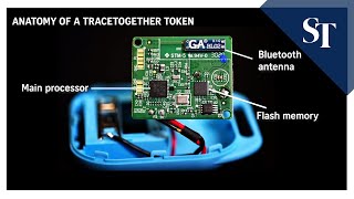 Covid-19: TraceTogether token teardown