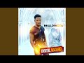 Nkulowoza