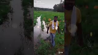 എന്താ ഇതിൻ്റെ ഒക്കെ അർത്ഥം 😎 #shorts #short #shortvideo