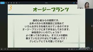 質問LIVE  観葉植物  肥料  育て方・管理方法  開花園チャンネル