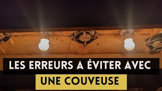 les erreurs à éviter avec une couveuse