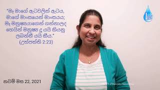 53. ඔහුගේ/ඇයගේ වටිනාකමට ලංසුවක් තියමුද?