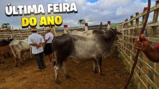 FEIRA DO GADO DE SOLÂNEA-PB 🤠 🤠!!!28/12/2024