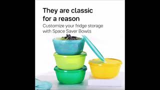 Tupperware - SS Bowl