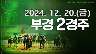 (부산) 2024.12.20 2경주