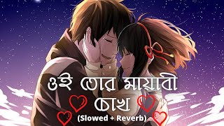 Oi Tor Mayabi Chokh 💕 (Slowed + Reverb) ওই তোর মায়াবী চোখ | Jeet Gannguli | Bengali Lofi |Love Lofi