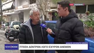 Προβλήματα από την κακοκαιρία: Κλήσεις για πτώσεις δέντρων | ΕΡΤ