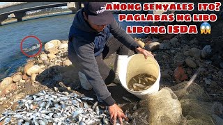 Anong senyales ito bakit naglalabasan ang libo libong isda dito sa TAIWAN 😱 || KELOGS TV