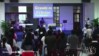 NT: La canción feliz/Los enemigos de Jhv/Oh moradora de Sión/Santo de Israel/AD:Solo a tí bendeciré.