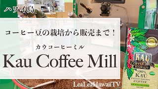 ハワイの今：カウコーヒー ミル  ハワイ島カウ地区の中で作付面積は5本の指に入る広大な農園をご紹介！実際に焙煎の様子や工場の中、栽培方法、それぞれのフレーバーの特徴などもご説明して頂きました