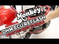 2019 Honda Monkey Build: Installing the reflashed DHM ECU and what you need to know