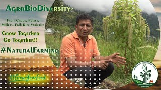 Mountain Natural Farming - Agroecology for smallholders - #SPNF #IGrowYourFood #NaturalFarming #ZBNF