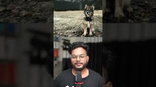 3 absolute masterpiece movies you must watch!