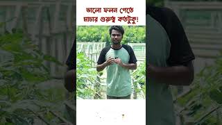 আপনার জমির ফলন ভালো করতে মাচা কতটুকু সাহায্য করে ?