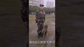 🇨🇳 向军犬学习忠诚！忠诚！忠诚！