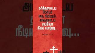 இயேசுவின் வார்த்தை - Jesus Talks ( 17-12-2024 ) | #Bible Verse | #Jesus | #todayverses | #prayer