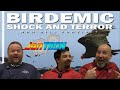 BIRDEMIC: The Best Worst Movie Ever - JonTron