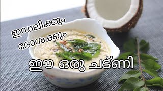 ഈ ഒരു chutney ഉണ്ടാക്കിയിലേൽ നഷ്ടം /easy chutney recipe