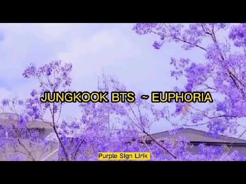 BTS JUNGKOOK (방탄소년단 정국)- EUPHORIA Lirik Dan Terjemahan Indonesia - YouTube