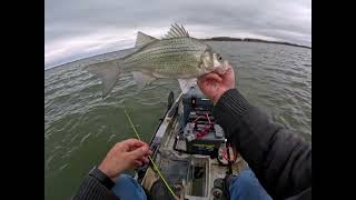 Exploring Lake Lavon for White Bass and More | Thumper Action