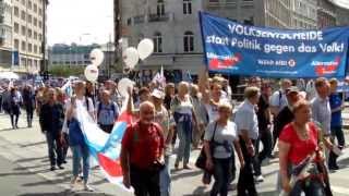 AfD Demo Hamburg am Gänsemarkt