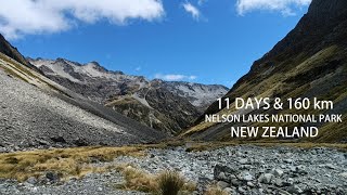 11 Day Hike Through Nelson Lakes National Park, New Zealand