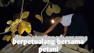 bermalam di gubuk petani sambil ngairin sawah