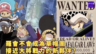 羅會不會成爲草帽團接近大將戰力的新夥伴？#739 Will Law become a new partner of the Strawhat? #739