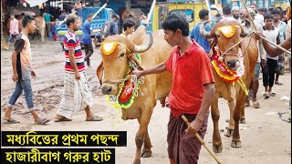 মধ্যবিত্তের প্রথম পছন্দ হাজারীবাগ গরুর হাট | রাস্তার দুই পাশে বসেছে বিশাল হাট | Hazaribagh Cow Hat