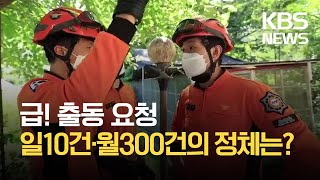 여름철 벌집 제거 요청 급증…“한달 평균 300건” / KBS 2021.08.18.