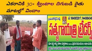 ఎకరానికి 30+ క్వింటాల దిగుబడి రైతు మాటల్లో ఏరియా ఎక్కడ పూర్తి సమాచారం తెలుసుకుందాం.#viralvideo