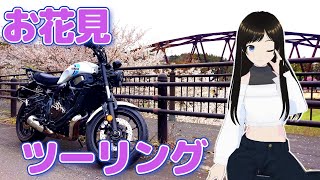 【お花見】新車慣らしも兼ねて秩父へお花見ツーリング【XSR700】