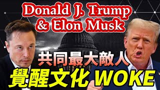 Donald Trump \u0026 Elon Musk最大敵人: 覺醒文化Wokeness｜極端Cancel Culture, LGBTQ入侵校園, 迪士尼電影｜美國內戰, 追求絕對公平, 打壓言論自由