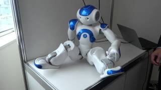 Nao Evolutionの起き上がり。