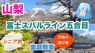 [Yamanashi Sightseeing vol.2]Fuji-Subaru Line Fifth Station and Okuniwa Nature Park