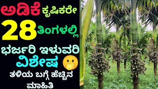 ಈ ತಳಿಯ ಅಡಿಕೆ ಗಿಡ ನೆಡಿ 🌴ಕೇವಲ 28 ತಿಂಗಳಲ್ಲಿ ಇಳುವರಿ ನೋಡಿ 🫢🫢