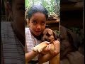 shorts petdog dog lover kanayile kalavara