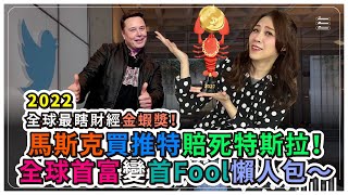 2022全球最瞎！馬斯克買推特，特斯拉股價崩盤，Elon Musk身價慘跌千億美金，全球首富慘變首Fool！買Twitter撐死Tesla世界級爆笑懶人包｜財經金蝦獎1|特斯拉系列4|國際政經35