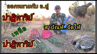 ต่อนกเขาใหญ่ by.พรานต้น Ep. 307 ปาฏิหาริย์ เหนือ ปาฏิหาริย์ เจ้าสายัณห์จัดให้