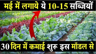 मई में कौन सी सब्जी लगाएं | May me kaun si sabji lagaye | May me lagane wali sabji | May Vegetables