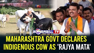 MAHARASHTRA GOVT DECLARES INDIGENOUS COW AS 'RAJYA MATA'