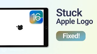 How to Fix iPad Stuck on Apple Logo/Boot Loop on iPadOS 16 / 17? [No Data Loss]