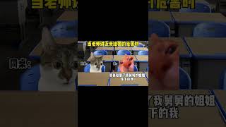 #猫meme #cat #猫meme小剧场 #猫meme剧场