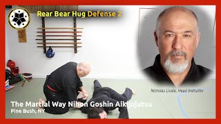 Defense 2 Against a Rear Bear Hug (Arms Pinned)